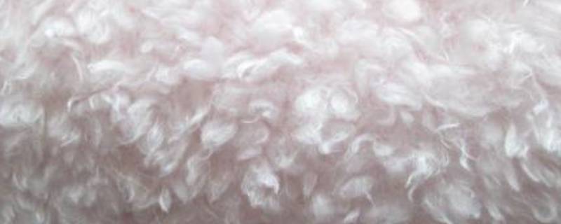 绒毛和茸毛有什么不同(绒毛和茸毛有什么区别)