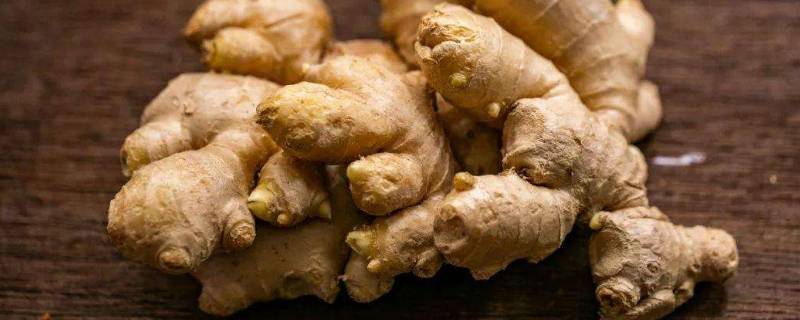 黄姜与白姜有什么区别(普通姜和黄姜有什么区别)