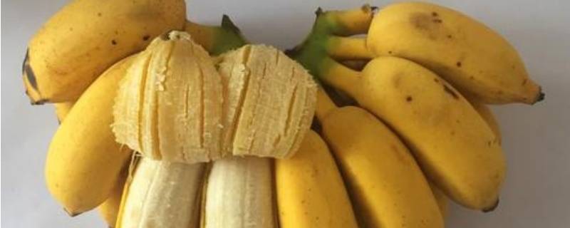 芭蕉是酸性还是碱性(芭蕉属于碱性食物还是酸性食物)