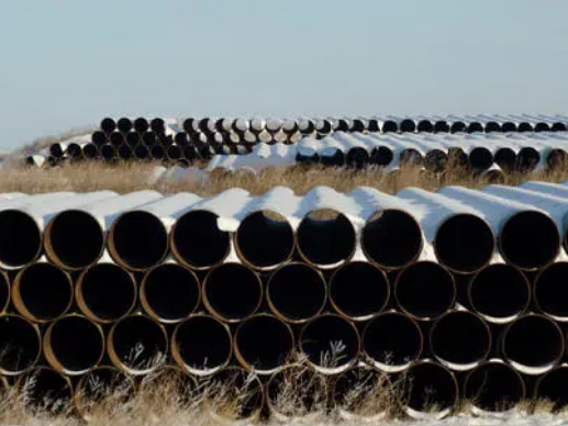 什么是油耳朵图片(什么是油腻的男生)