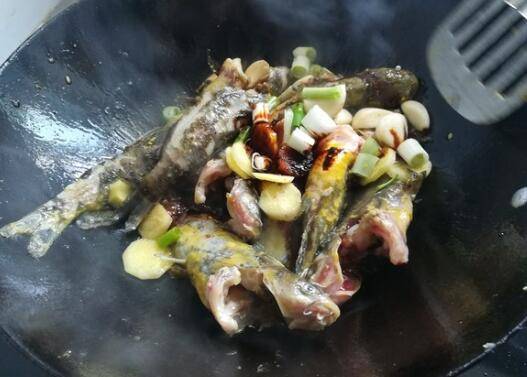 黄甲鱼怎么烧好吃(黄甲鱼怎么去腥)