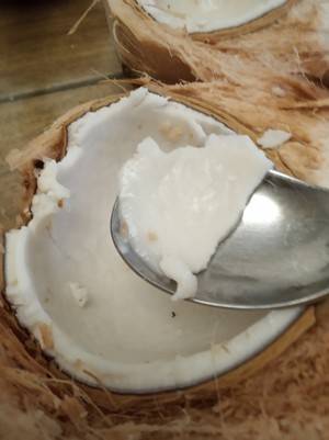 开椰子吃椰肉的巧妙方法(椰子怎么能吃到椰肉)