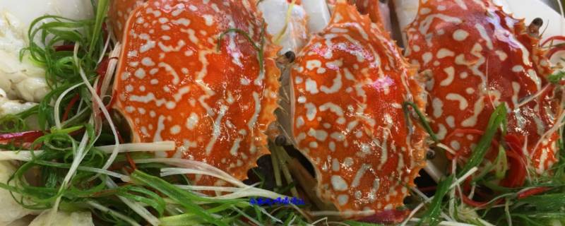 蒸海蟹怎么放不漏膏(蒸海蟹放多少水)