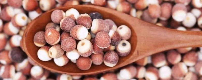 鸡头米煮多长时间合适(怎样煮鸡头米好吃又简单)