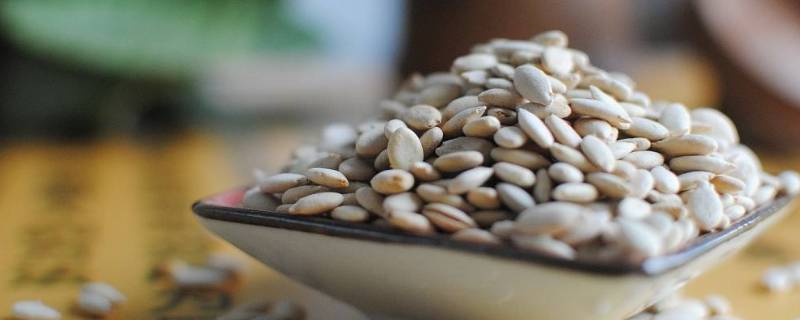 冬瓜子一般要水泡多久(桦树皮能和冬瓜子一起煮水喝吗)