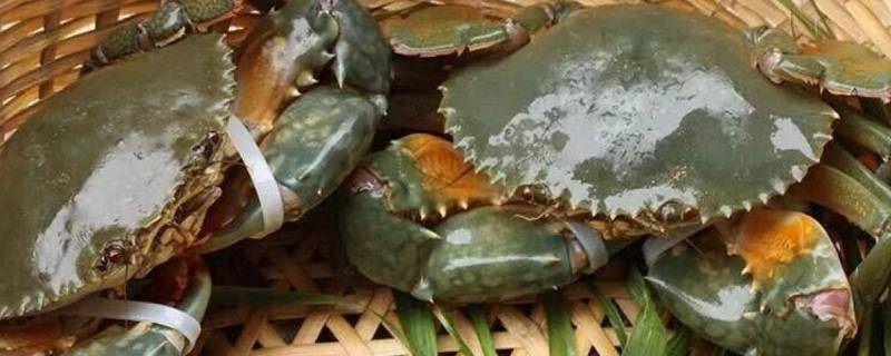 青蟹高压锅要烧多久(青蟹高压锅要蒸多久)