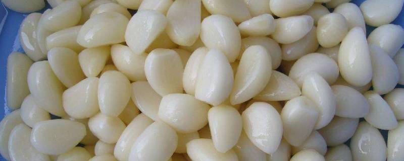 含硫的食物排名(含硫氨酸的食物有哪些)