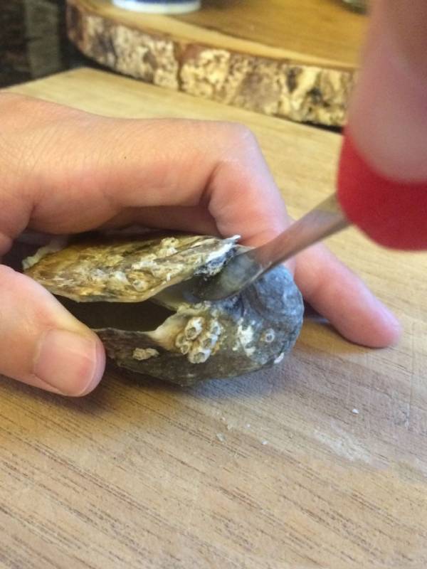 开生蚝最快最简单的方法(开生蚝做法教程)