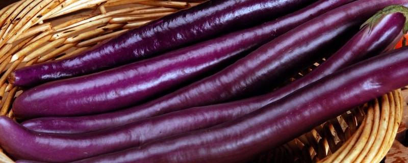 鲜茄子能冷冻吗怎么做(怎样冷冻茄子好吃)