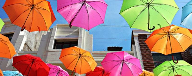 雨伞可以代替遮阳伞吗(雨伞遮阳伞哪个牌子好)