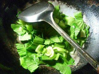 青菜萝卜炒什么好吃(萝卜青菜怎么炒)