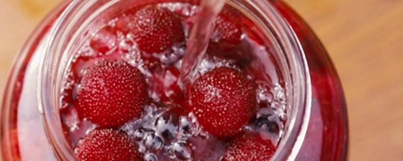 杨梅酒1斤的制作比例(泡杨梅酒最好的比例)