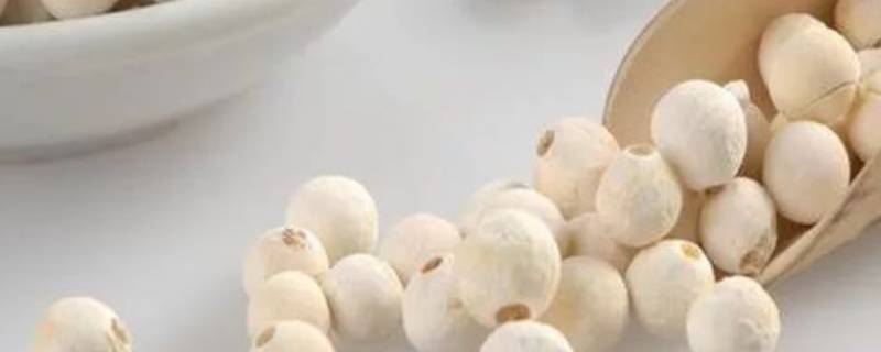 鸡头米煮多久可以熟(鸡头米开水煮几分钟熟)