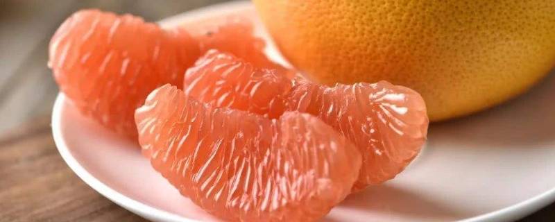 桔子橙子柑子柚子的营养区别(橙子和柚子如何区别)