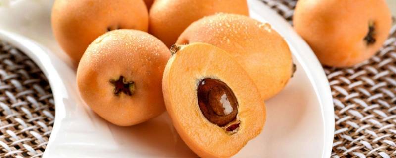 新鲜的枇杷花能泡水喝吗(新鲜枇杷可以泡水吗)