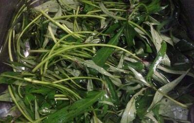 怎样炒番薯叶好吃(炒番薯叶怎么炒出来才好吃)