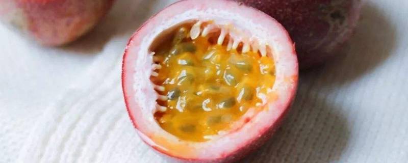 百香果在哪个地方产的(百香果摘果后怎么修剪)