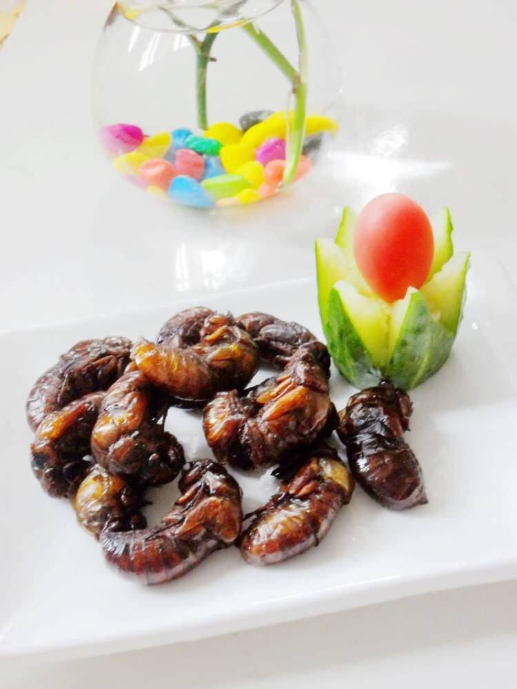 炸知了猴的做法(知了猴除了油炸还能怎么吃)