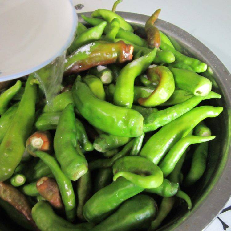 青辣椒整个怎么腌的好吃(怎样腌的青辣椒好吃)