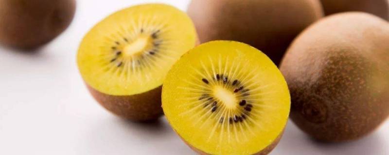 猕猴桃为什么有股油漆味(猕猴桃有酒精味还能吃吗)