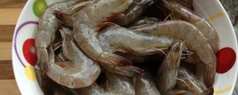 池塘虾有什么营养(草虾有什么营养吃多少合适)