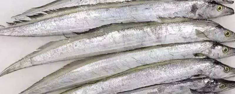 带鱼放冰箱能放多久(带鱼冰箱里能放多久)