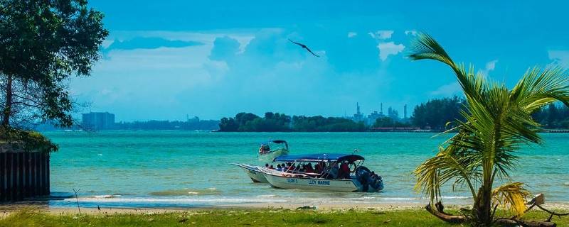 南洋是哪国(南洋钱币价值)