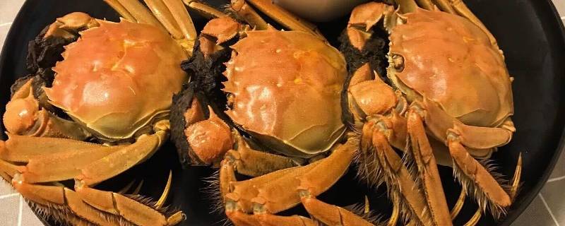 螃蟹死了保存(螃蟹的保存方法使它不死?)