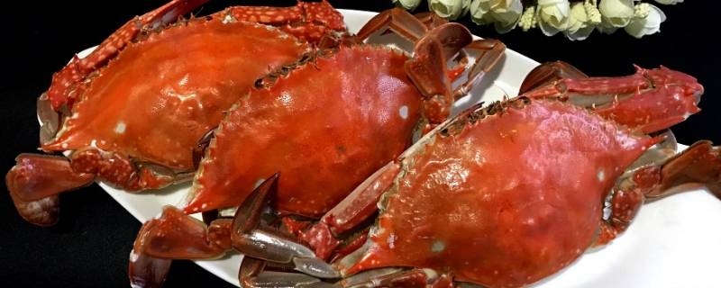 海螃蟹蒸煮几分钟能熟透(吃没熟透的螃蟹会怎么样)