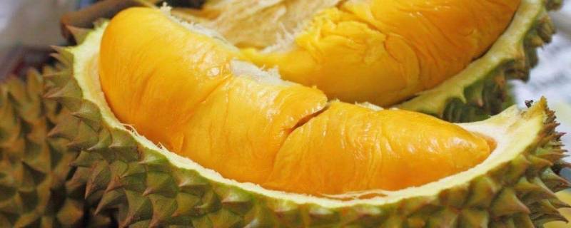 榴莲香味很重但是壳没开可以吃吗(榴莲水滋滋的还能吃吗)