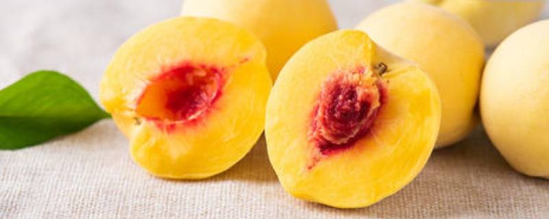 八月黄桃什么时候套袋子最佳(什么季节吃黄桃最适合)