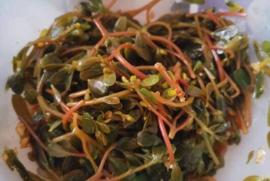 麻子菜怎么做法(麻子菜的做法大全集)