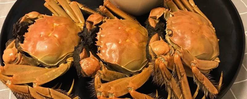 螃蟹是苦的还能吃吗(螃蟹特苦的可以吃吗)