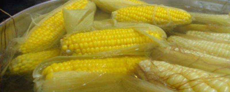 玉米煮多久(玉米煮多久会熟高压锅)
