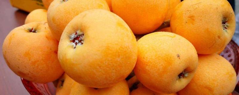 枇杷放冰箱里可以放多久(枇杷怎么保存才能放得久)