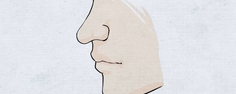 五官中的鼻子(鼻子是五官之首,那么好看的鼻子)