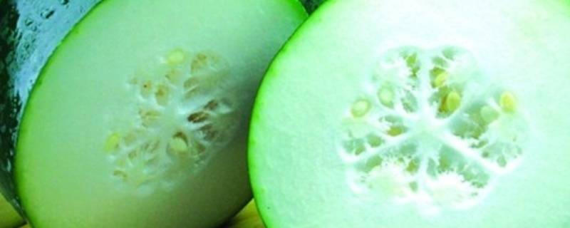 冬瓜切开后怎么保存不会烂(切开的冬瓜怎样保存不会烂)