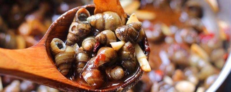 现在河里的螺蛳能吃吗(河里的螺蛳可以直接吃吗)
