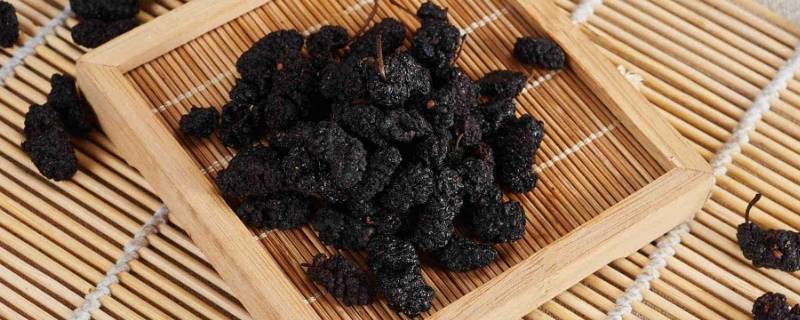 桑葚干泡水之后吃了可以吗(桑葚干泡水了可以吃吗)