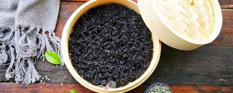 乌饭什么人不能吃(乌饭可以吃吗)