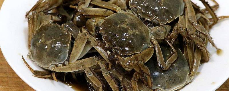 大闸蟹的膏绿色可以吃吗(青蟹膏绿色能吃吗)