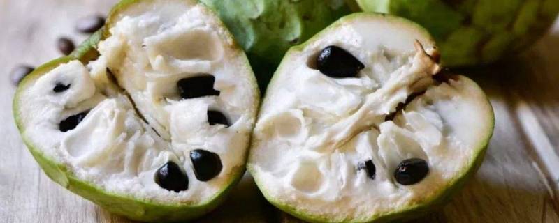 释迦果是凉性的还是热性的水果(释迦果属于寒性水果吗)