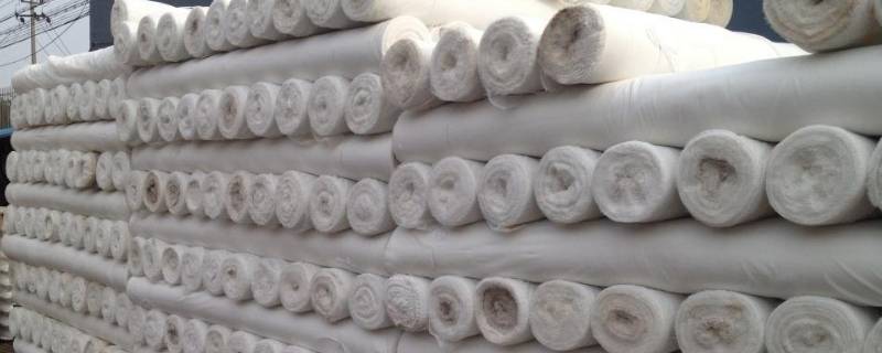 胚布是做什么的(胚布是什么)