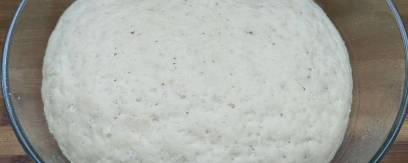 发面加盐好还是加糖好(包子发面加糖还是加盐)