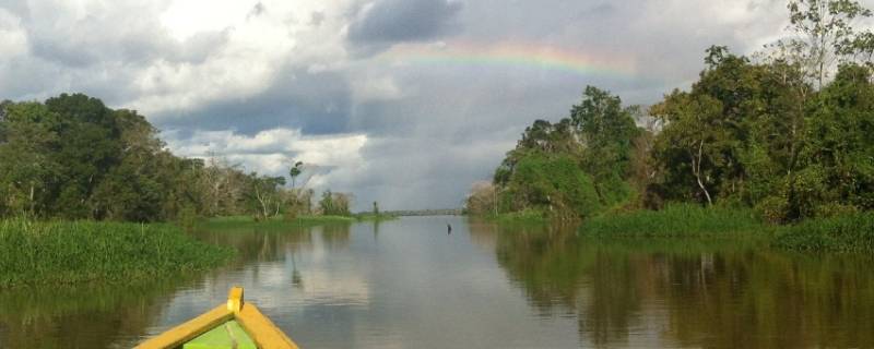 亚马逊河在哪个位置(亚马逊河在哪)