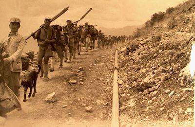 液压油管型号一览表(液压油管型号规格表)