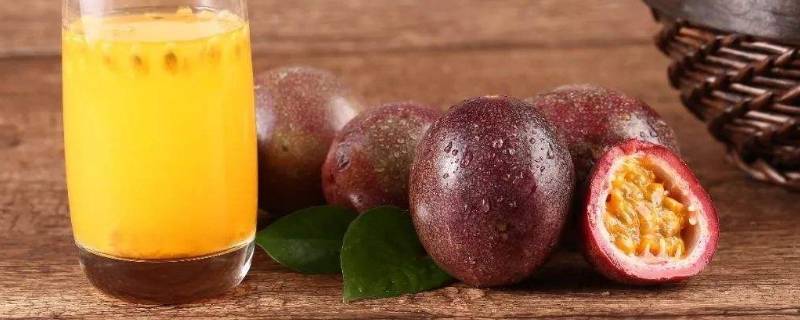 百香果肉不放冰箱可以吗(百香果肉冰箱保鲜3个月)