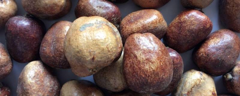 佛心果成色(佛心果颜色有几种)