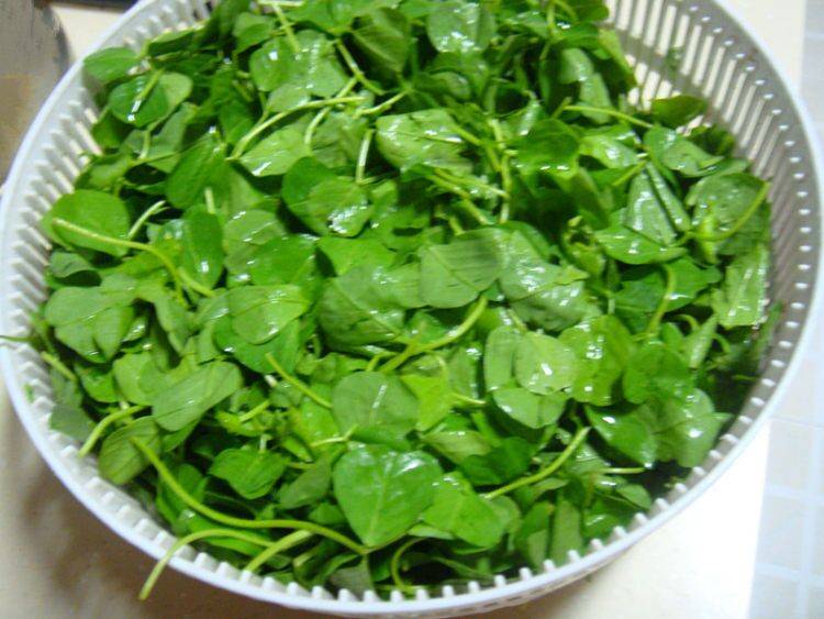 草头怎么炒的嫩(草头怎么炒的嫩又好吃)