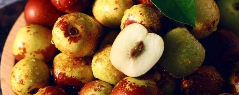 冬枣蒸着吃的功效与作用(冬枣的功效与作用治心血管)